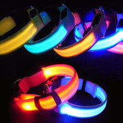 Premium Glow-In-The-Dark LED Safety Collar