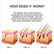 Natural Hair Growth Essence