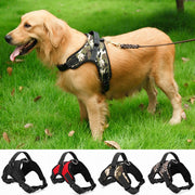 Heavy Duty Dog Pet Harness Collar Adjustable Padded